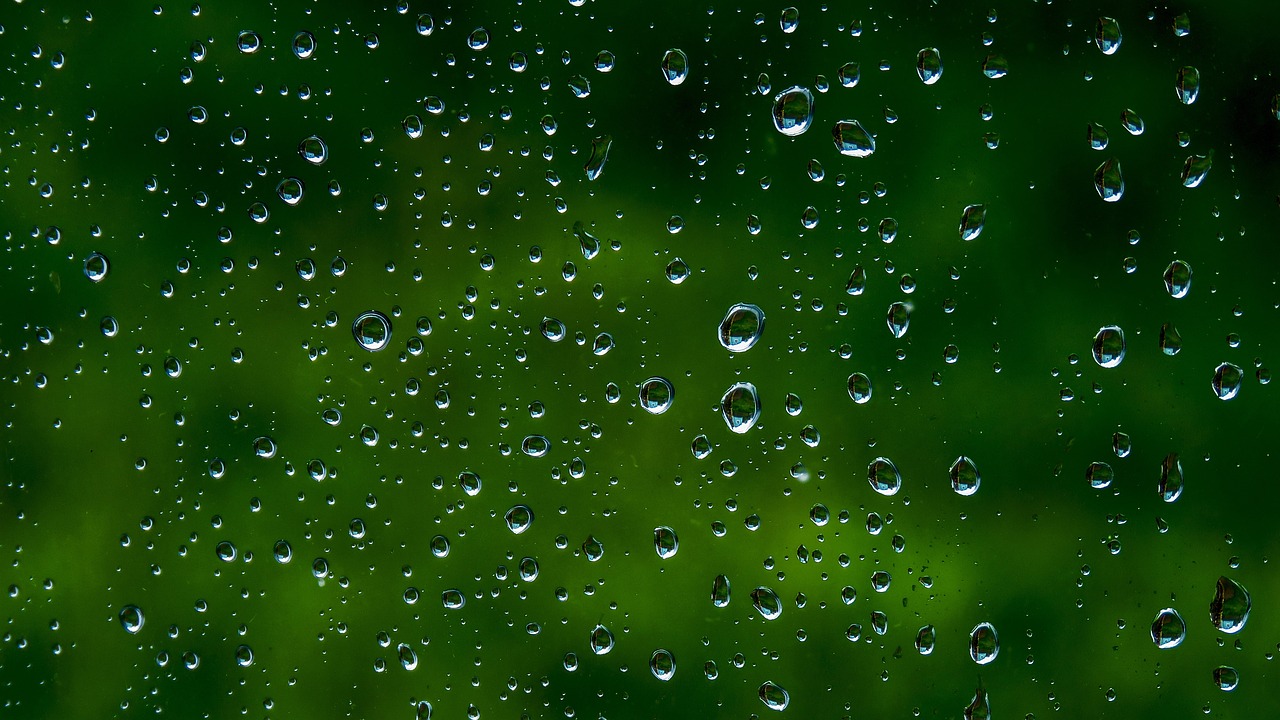 눈오는바다 썸네일